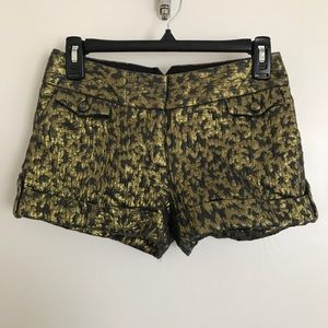 Express Shorts Gold